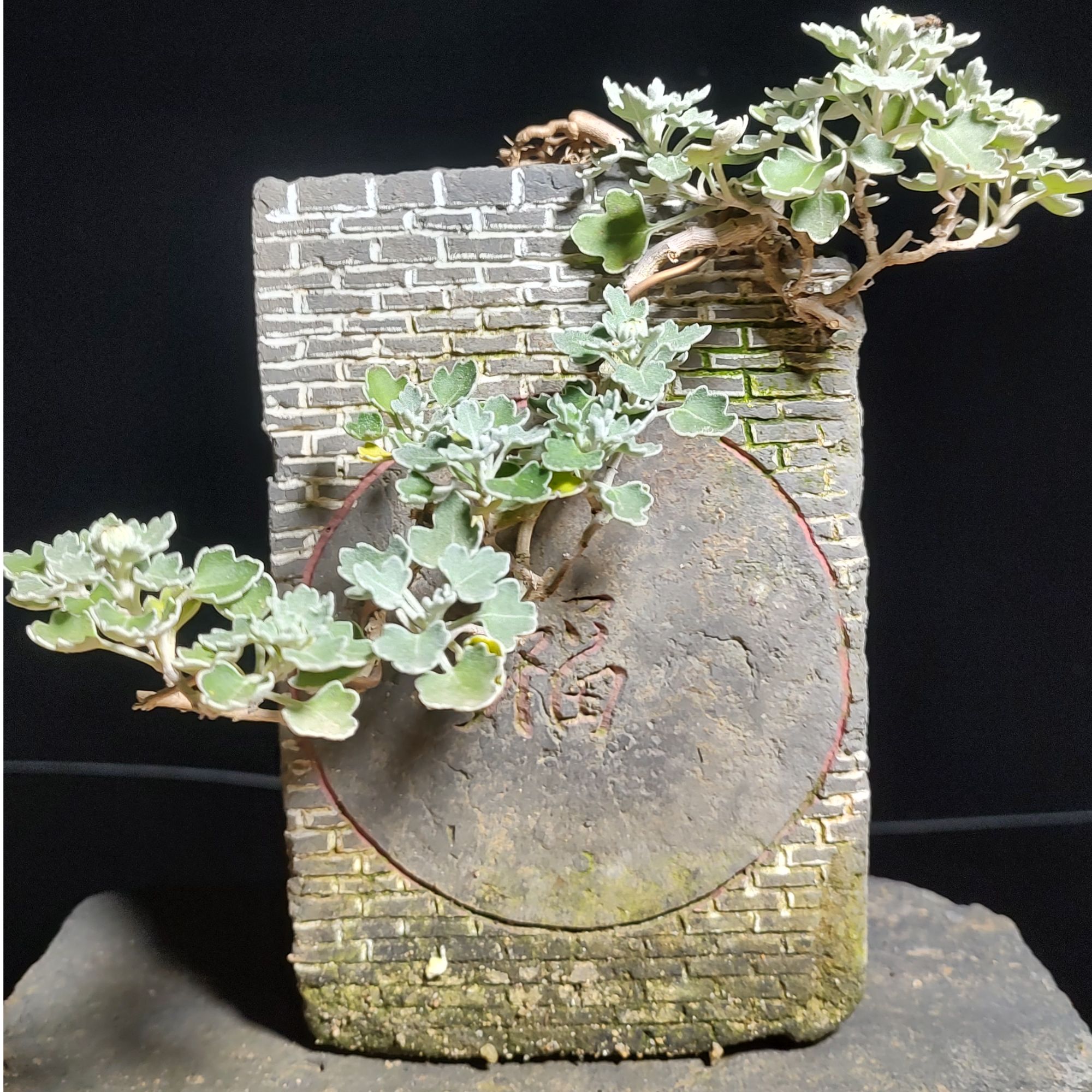 5-30（图片仅供参考）直播用链接，一物一拍，包邮近省，偏远加十。