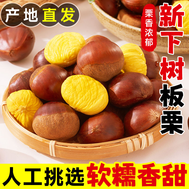 【产地直发】正宗丹东板栗去刺壳板栗难剥皮生栗子带壳野生油栗