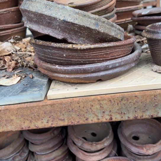 红陶练*12345678/////