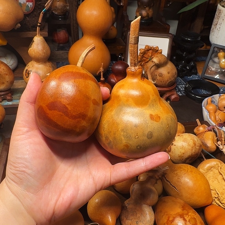 木***渔葫芦葫芦葫芦葫芦