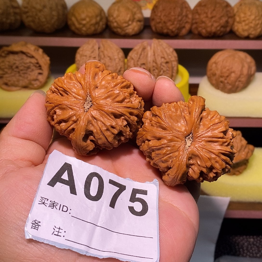 文玩核桃把件45水龙纹