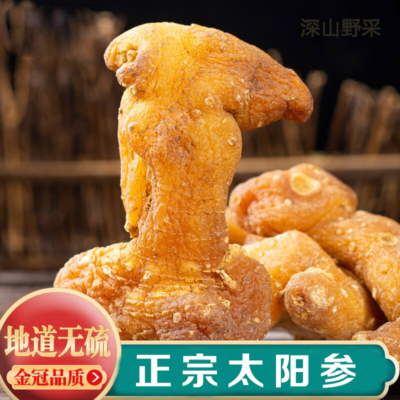【太 阳参】正宗野 生长太阳参 山货下山