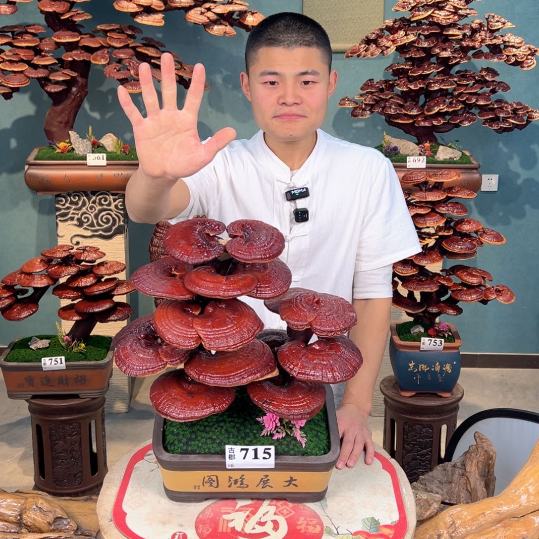 无花朵88888888888