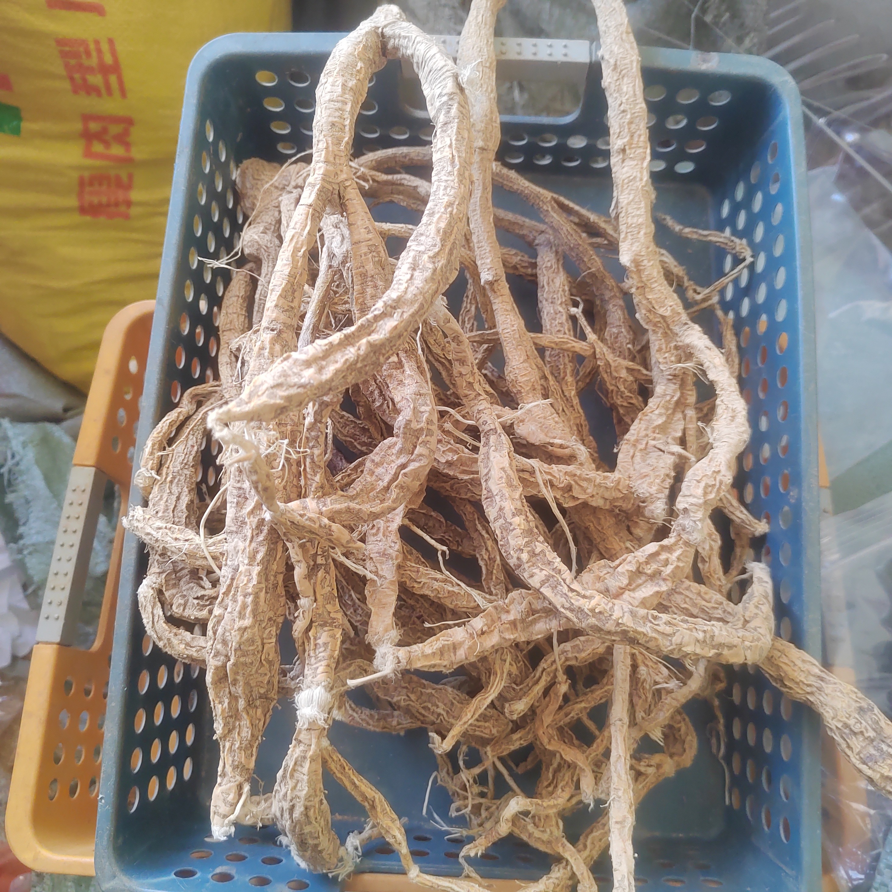 干货牛大力串煲汤泡酒佳品