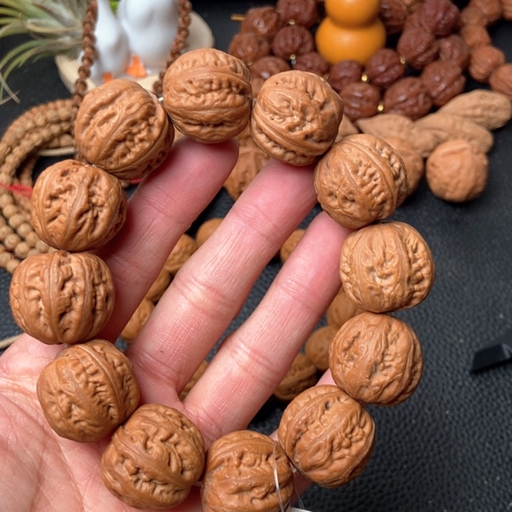 野生小秋子核桃粗筋霸王龙