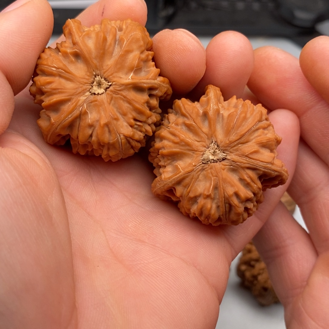 糖***爸文玩核桃把件41文山三棱