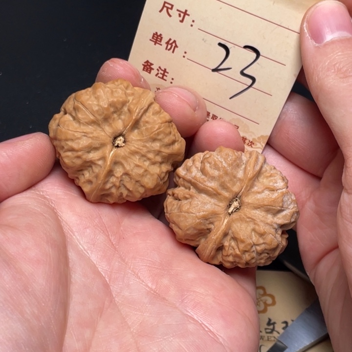 文玩核桃把件蛙蛙37尺白茬23