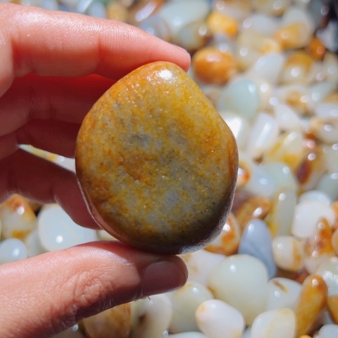 和田玉（糖玉）手链未镶嵌7