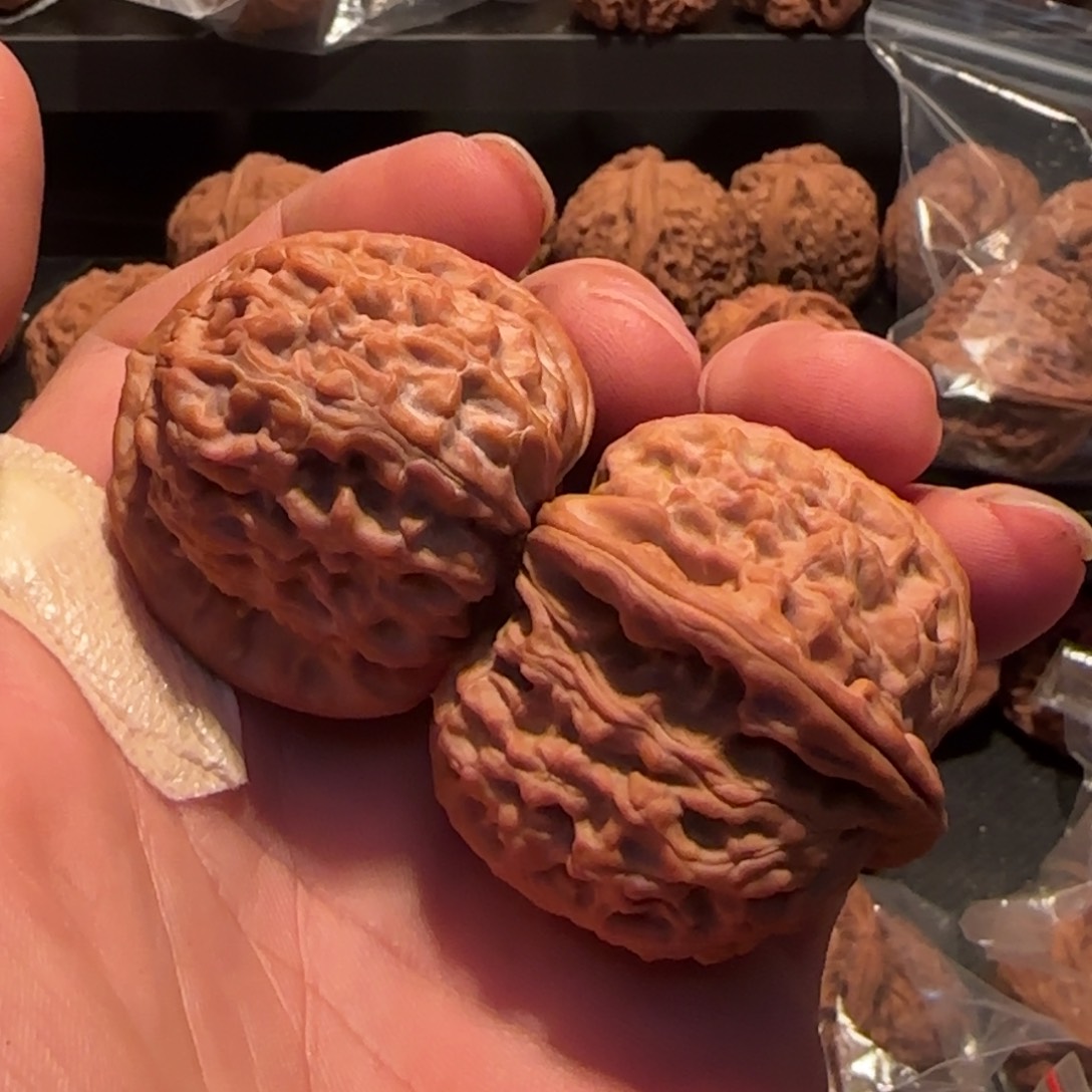 桃核把件家****路白狮子头41