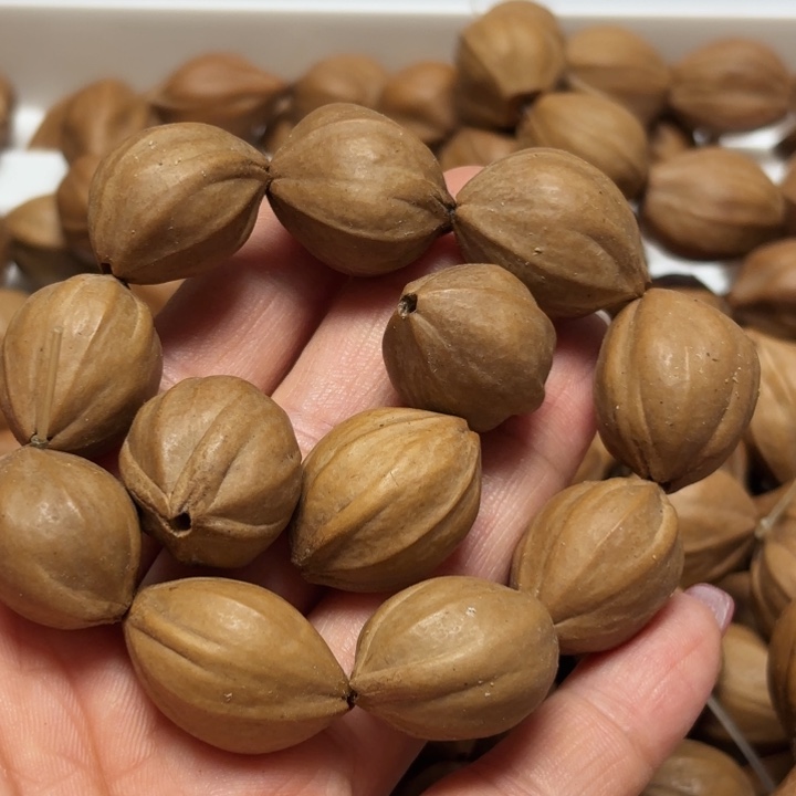 橄榄核其他1.9四花铁核……