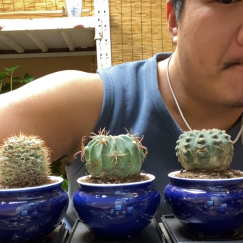 红陶一物一拍所见即所得180