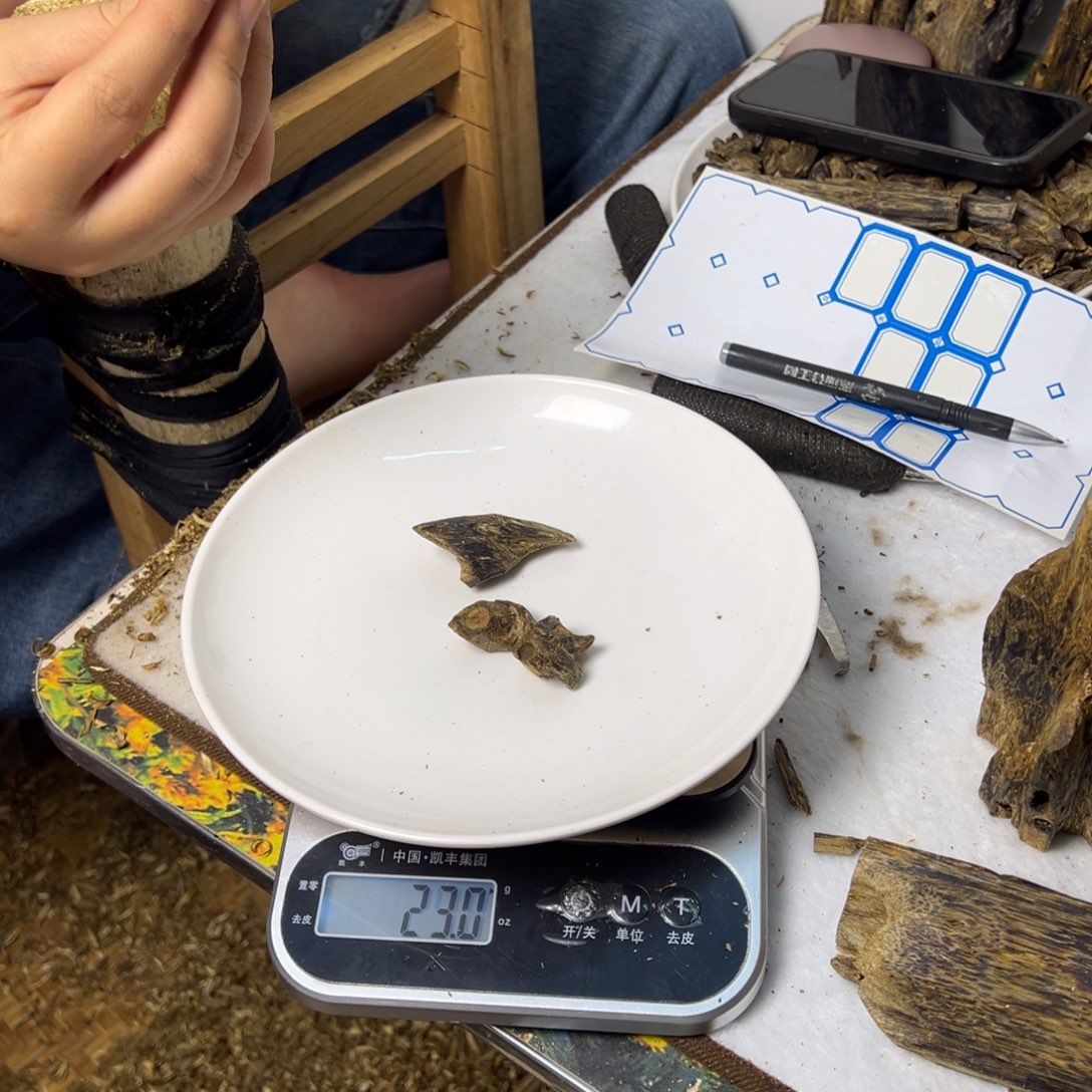 线香奇楠虫漏香14克