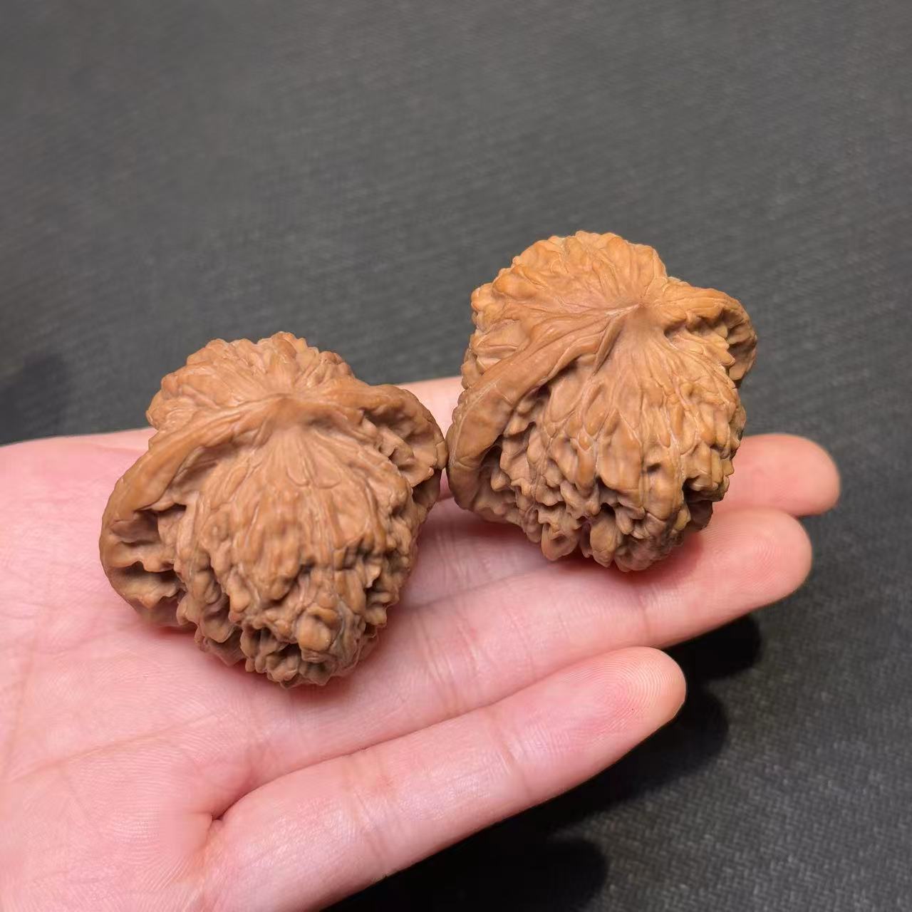 【表哥专属】C084核桃四座楼