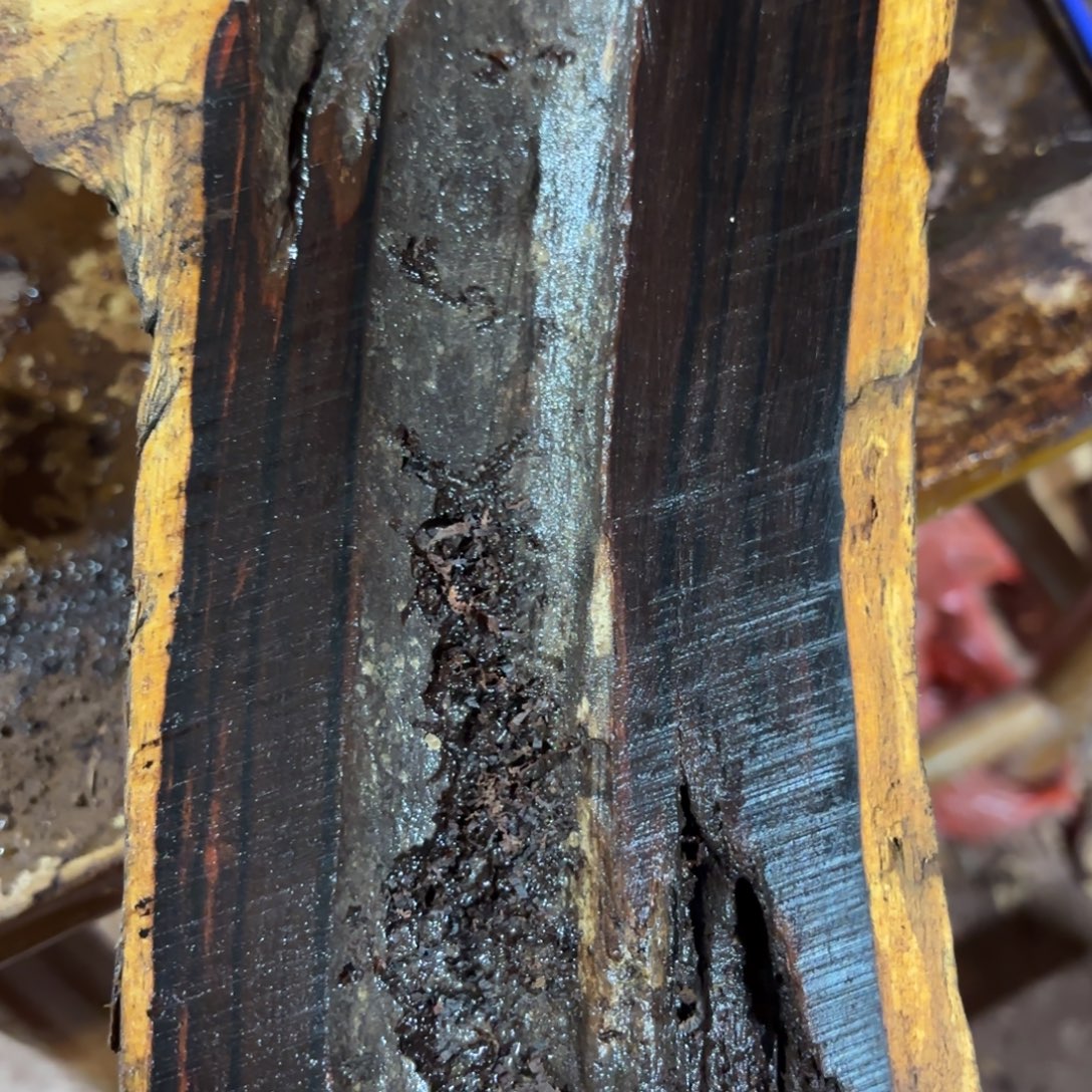 Q***H黄花梨/降香黄檀手串/手链