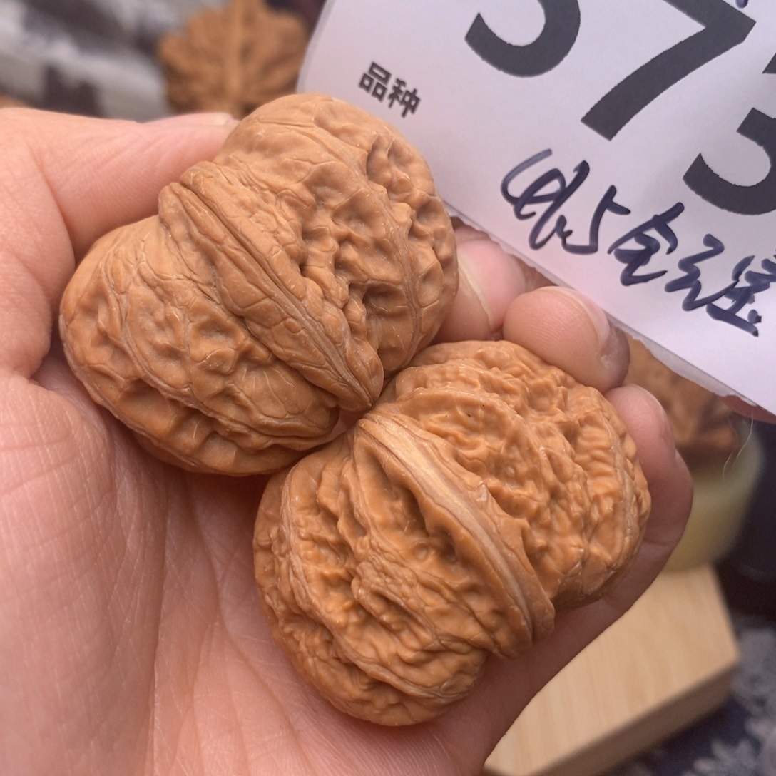 文玩核桃把件573号线gd41.5全包