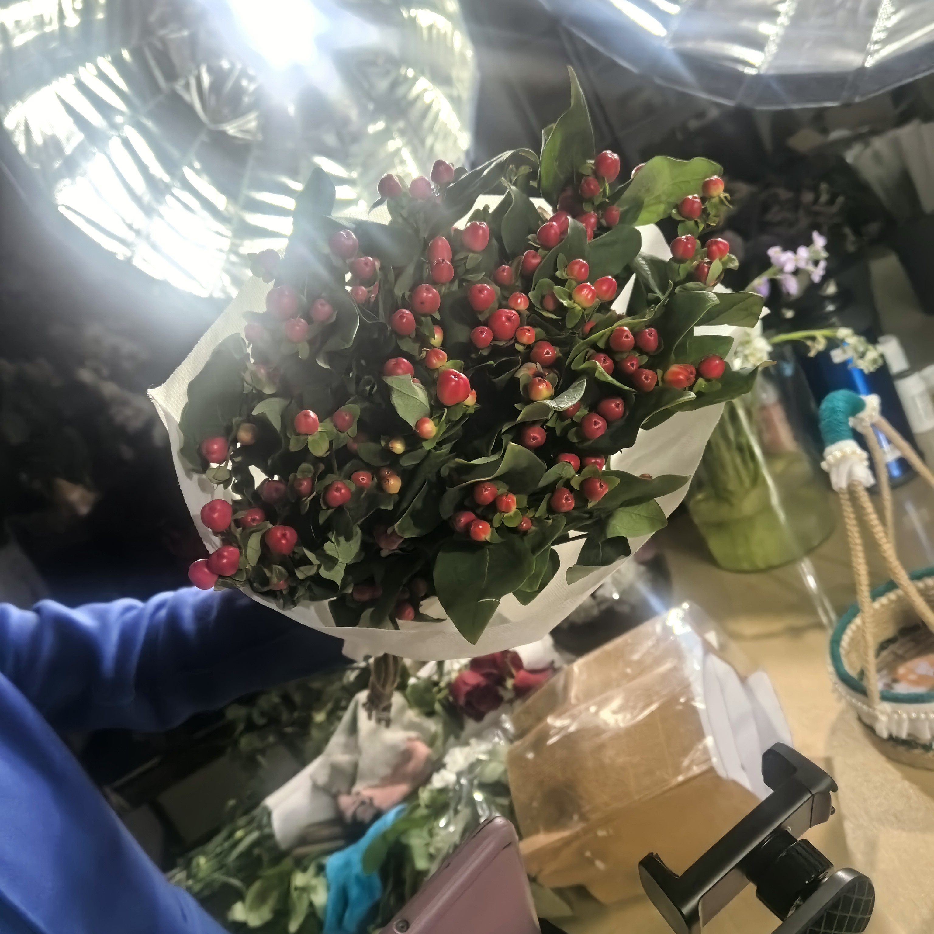 新鲜采摘红豆一扎云南鲜花鲜切花产地直发好养护