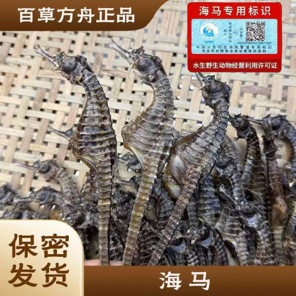 进阶版本正品海马 2~3克/只 煲汤泡酒专用