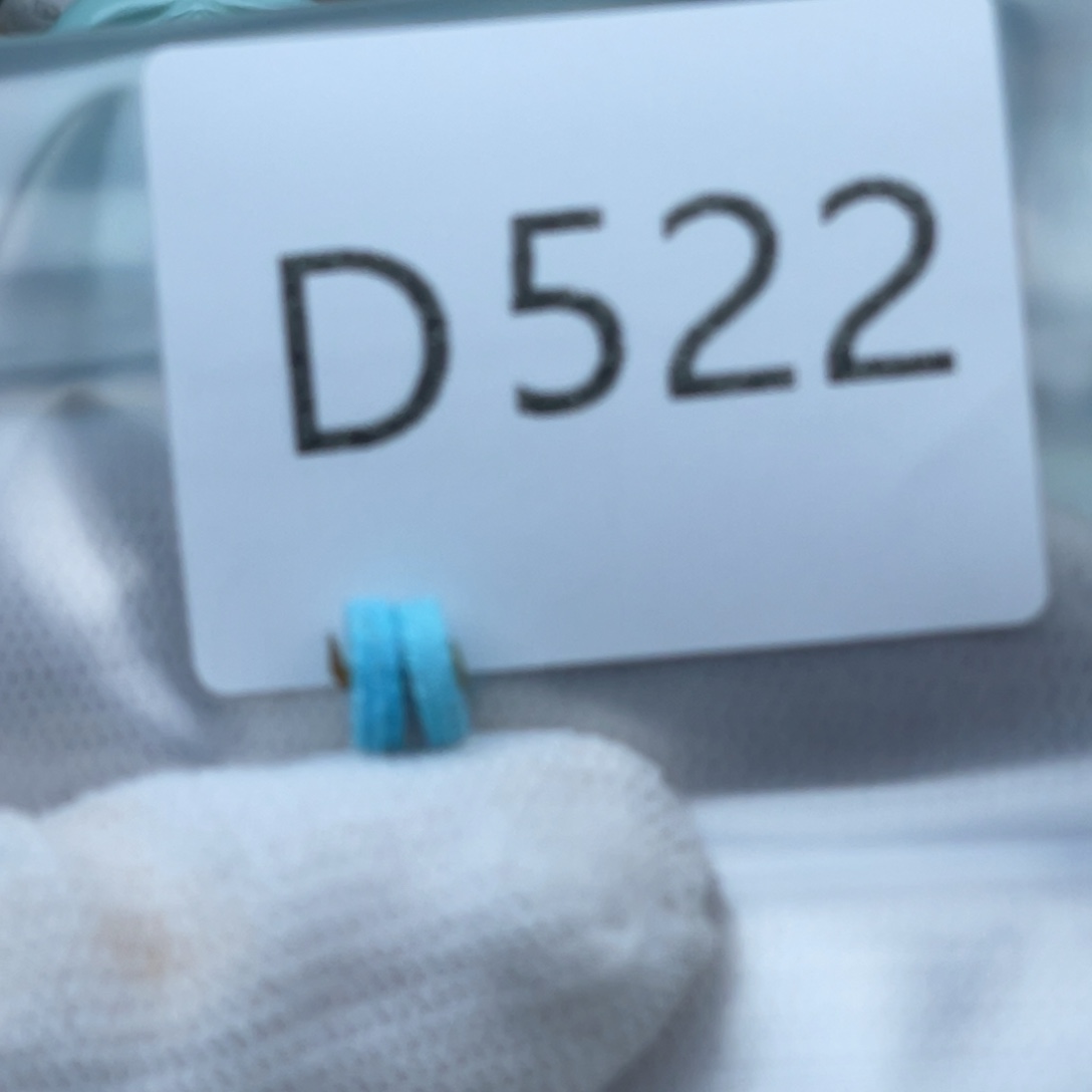 蜜蜡手链未镶嵌利*配饰