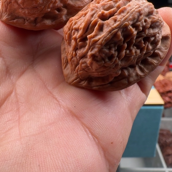 文玩核桃吊坠京东野生金钱豹