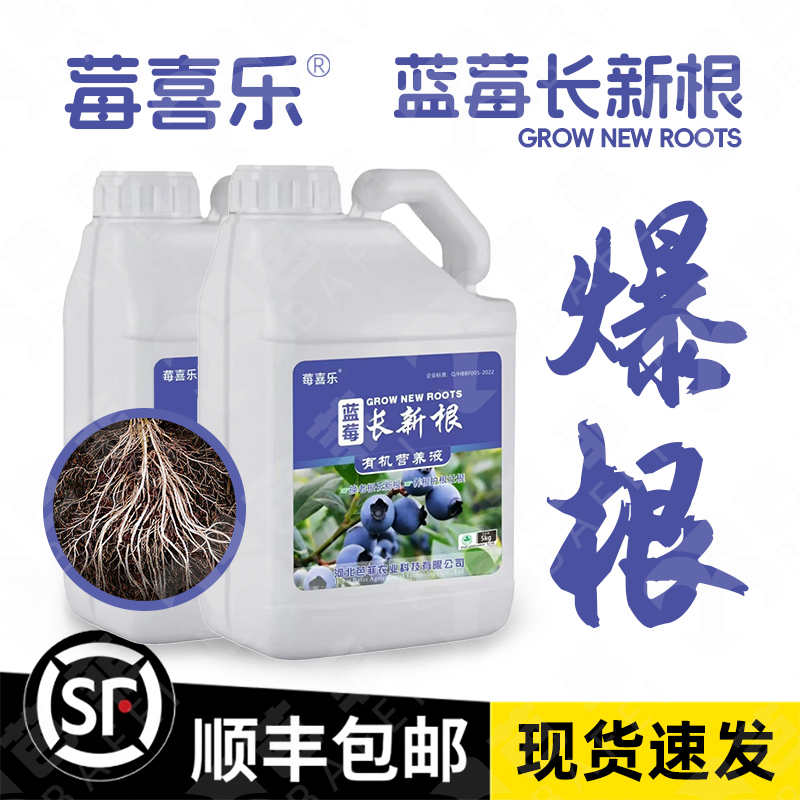 莓喜乐蓝莓长新根换老根长新根养根护根壮根