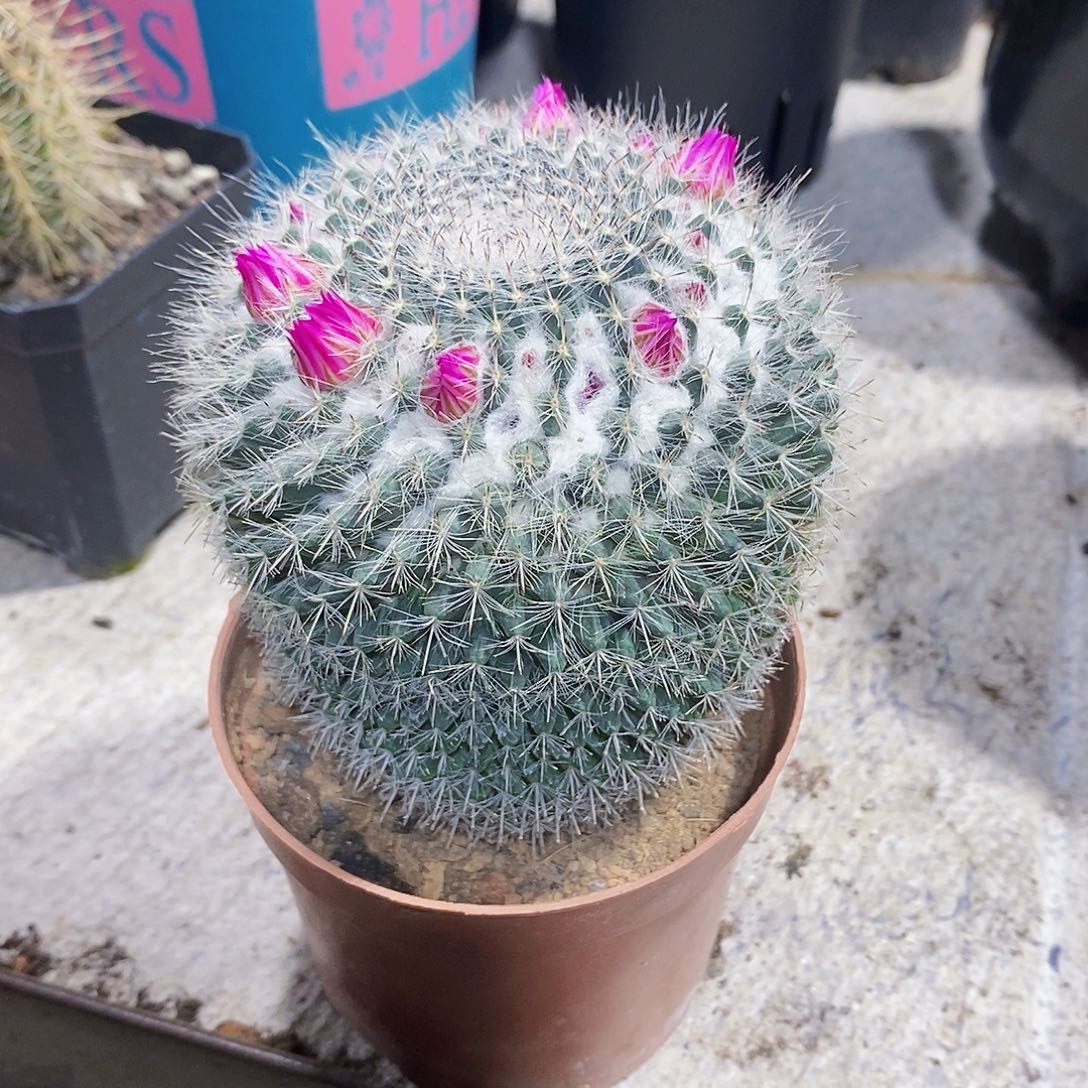 玉骨111111111111111个