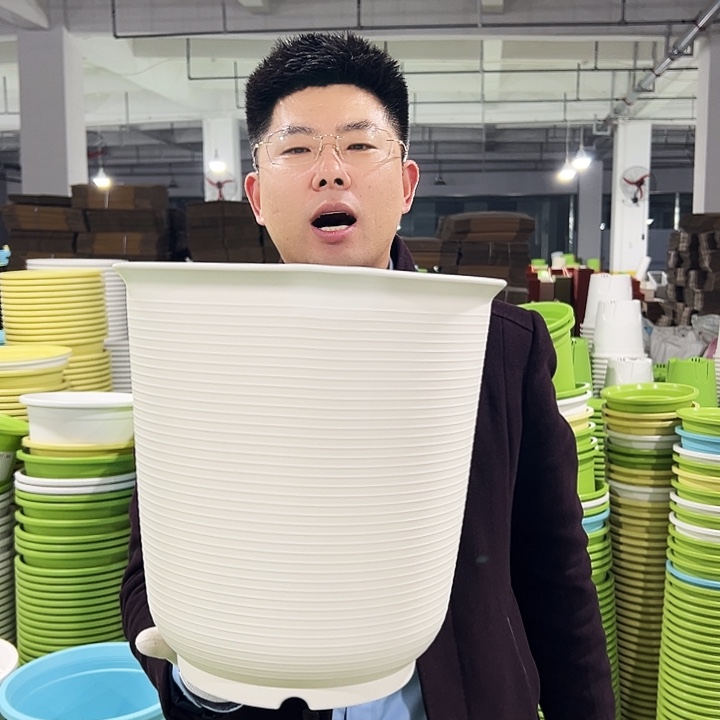 正品高陶口30高31白色5只无托