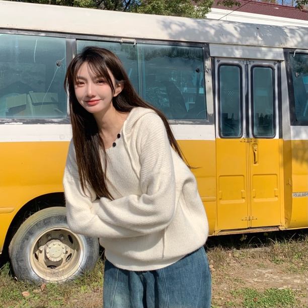 毛小兔秋冬韩系连帽套头加厚保暖显瘦休闲百搭针织衫上衣女