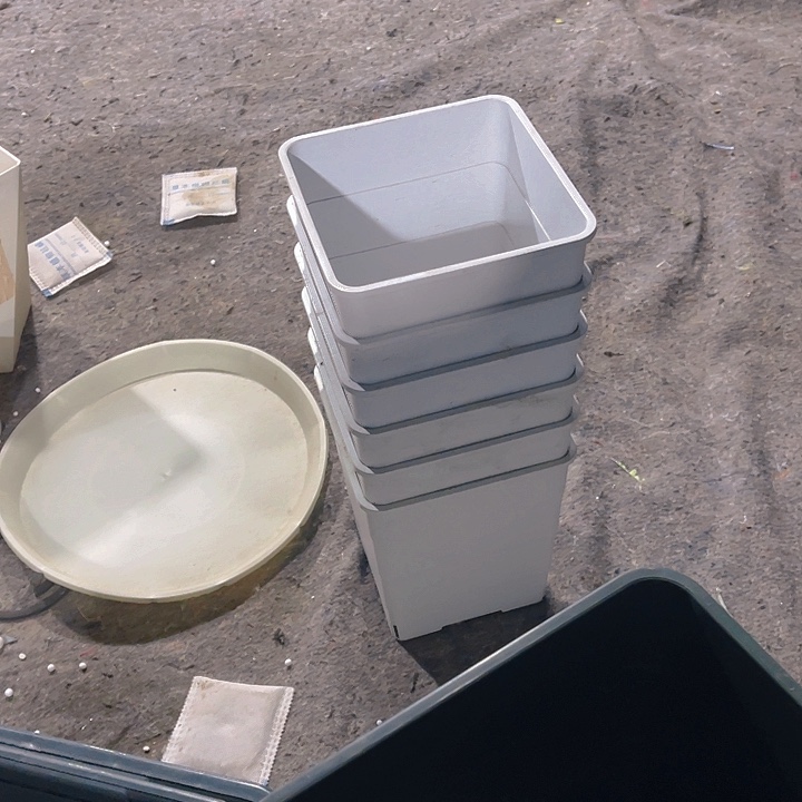 伊特1号白色6个好评