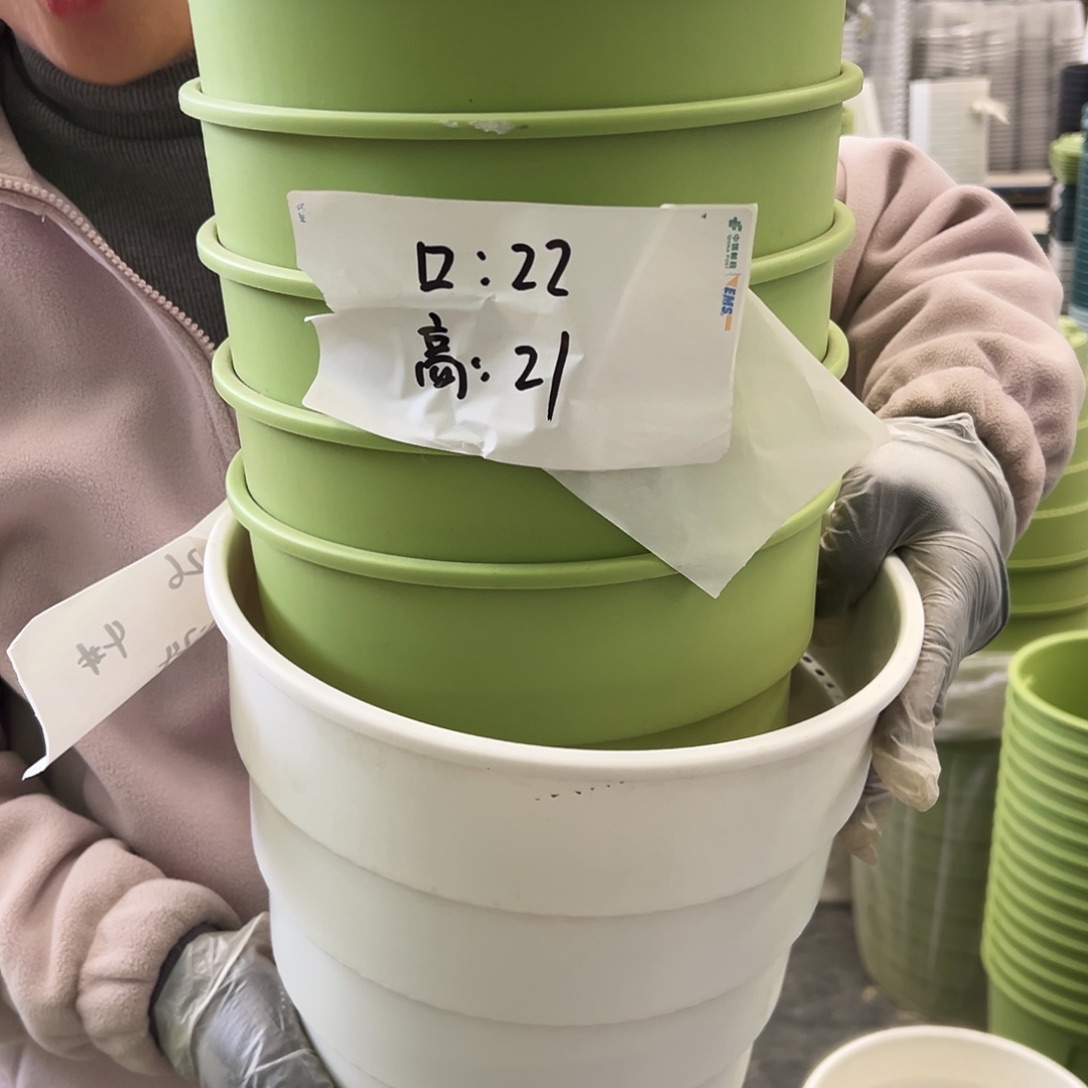 多孔3#白色5个无托