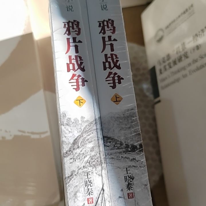 鸦片战争上下册两本一套