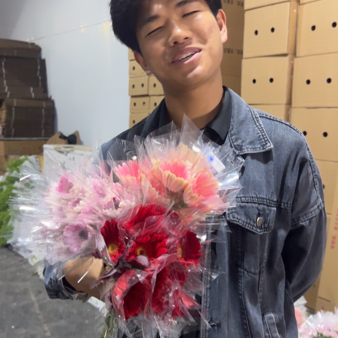 非洲菊3扎包邮价秒杀