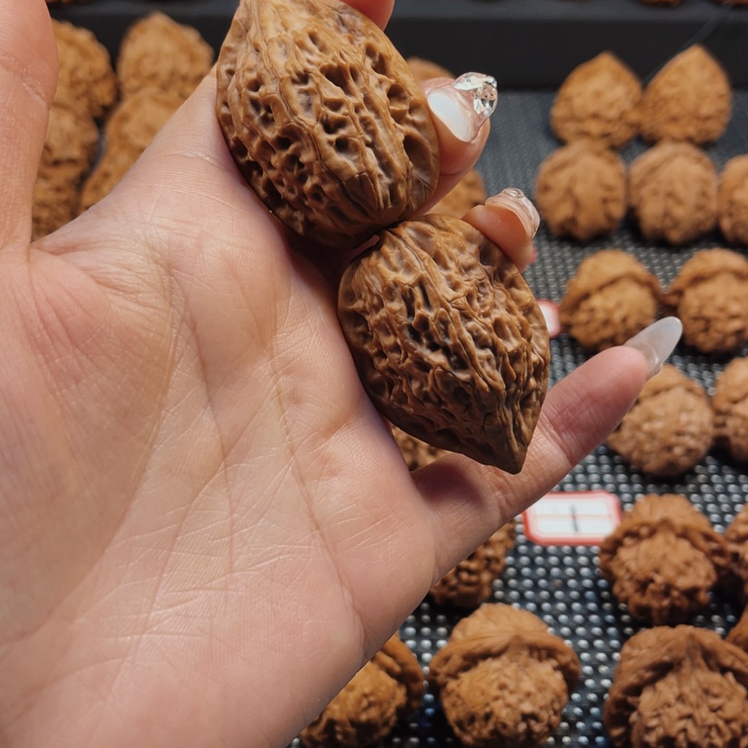 夏*秦岭神树的小刚吃