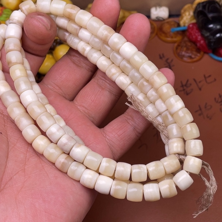 驼骨其他人工养殖