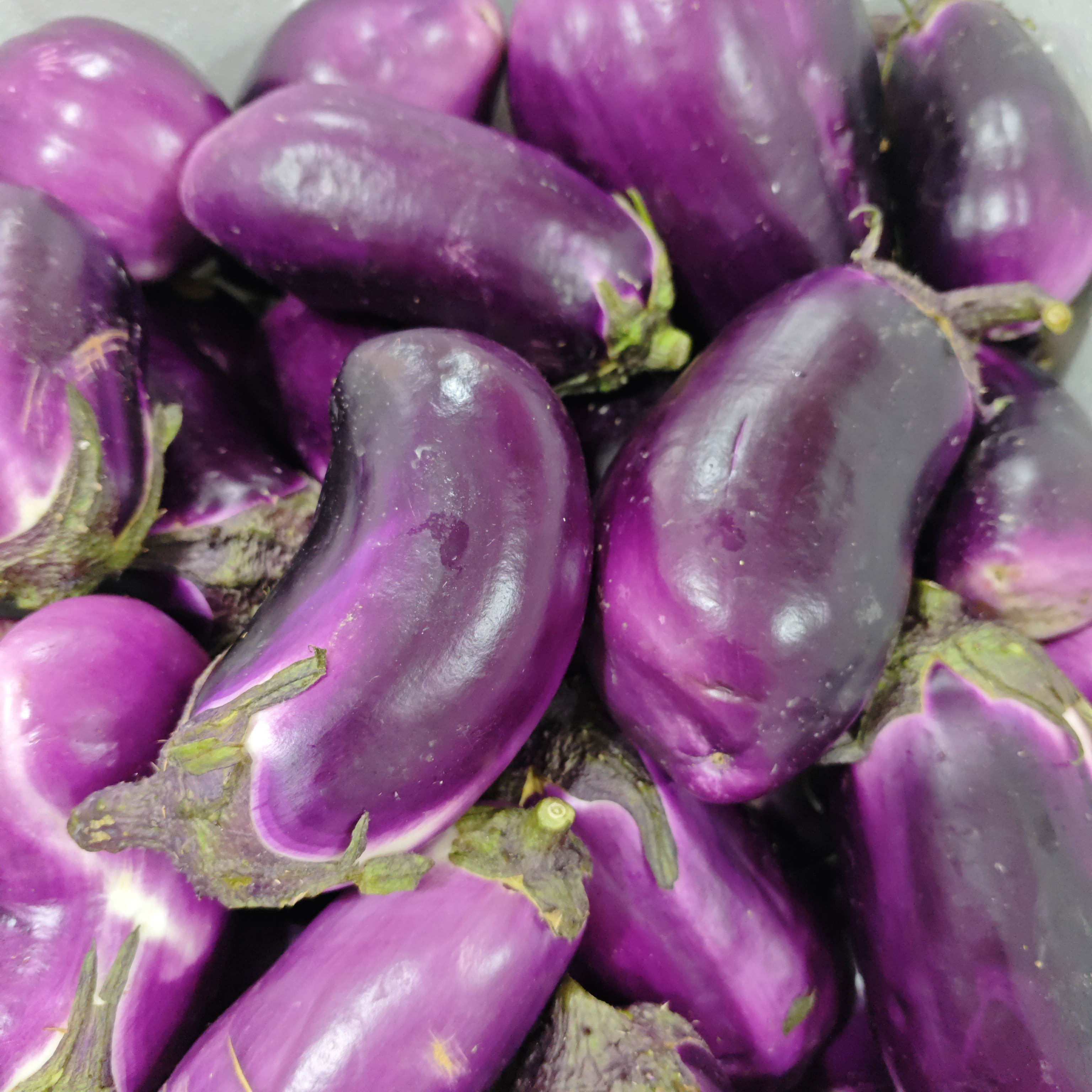 【应季蔬菜】新鲜茄子3斤