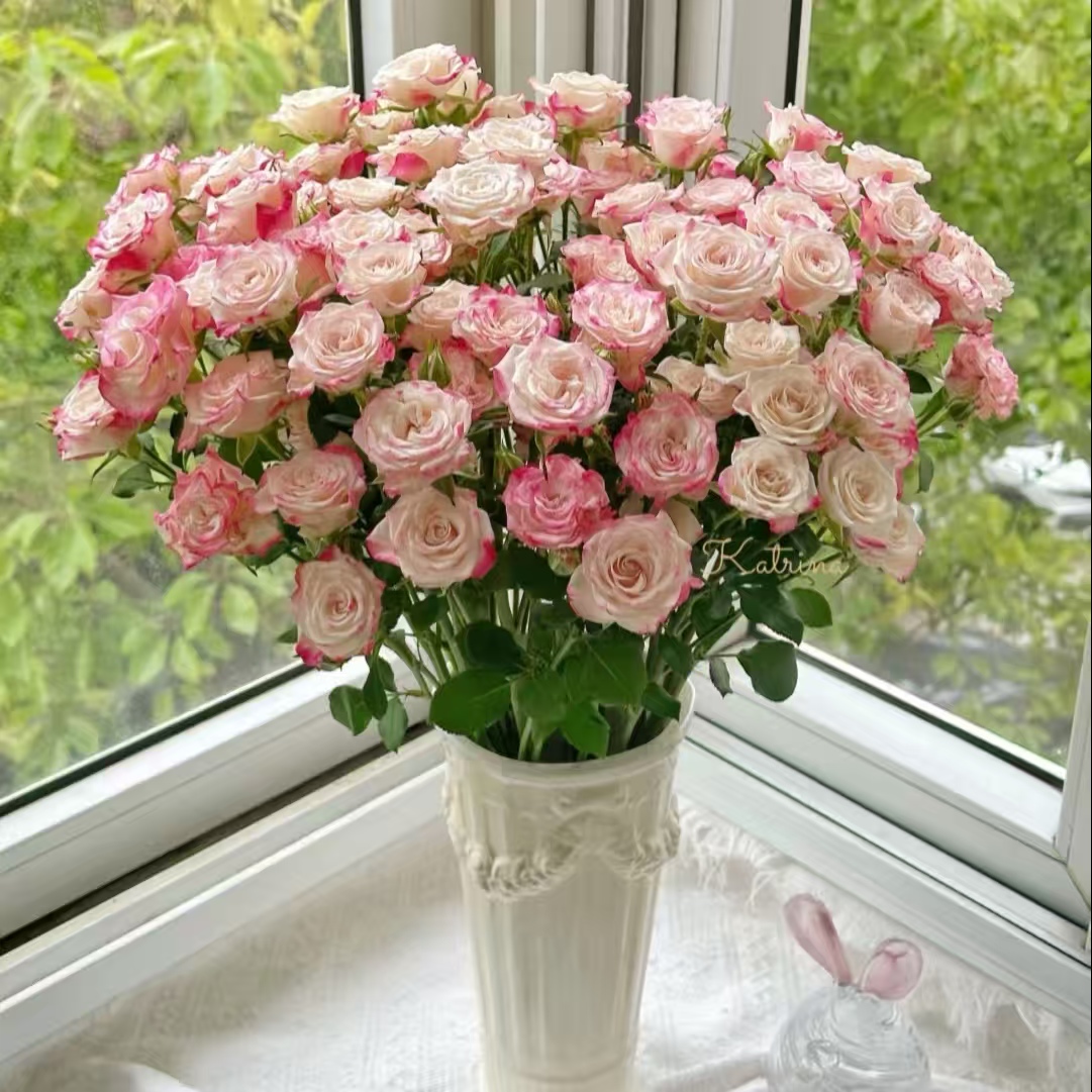 【折射多头玫瑰10支】任意2单鲜花升级顺丰冷链/德邦空运包邮