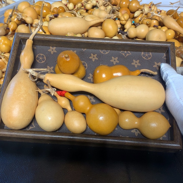 梨等经济林作物中提取和生长较