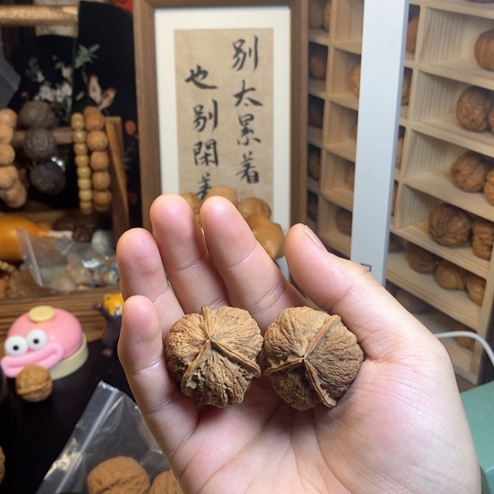 核桃把件7号猫头鹰三棱