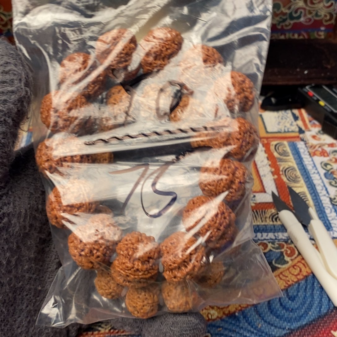 金刚菩提吊坠Y*俩条