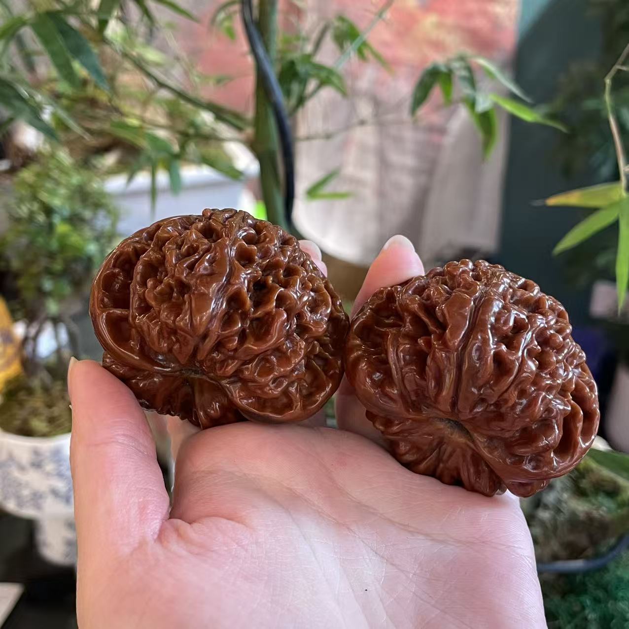 【大林子专属】L0463官帽核桃55mm