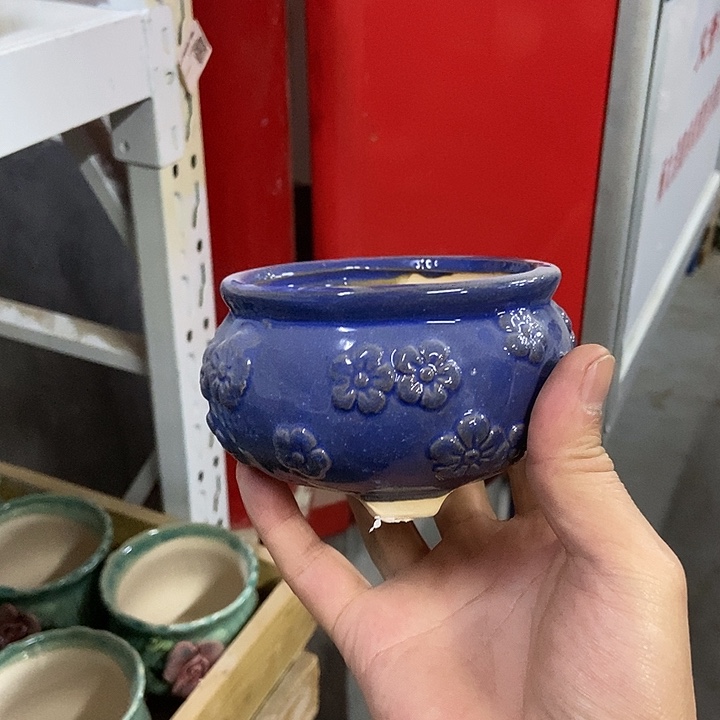 花盆单场满9.9发货9.5×6.5微瑕