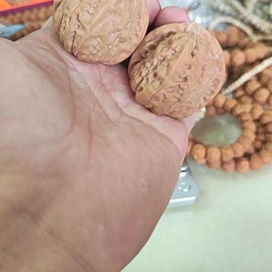 把件文玩核桃39左右南瓜墩一对配对如图