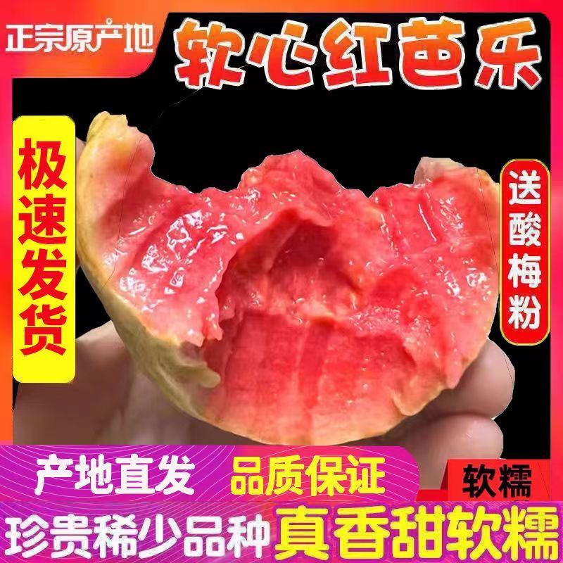 正宗福建奶油芭乐红心新鲜水果心软应季番石榴鸡屎红心芭乐