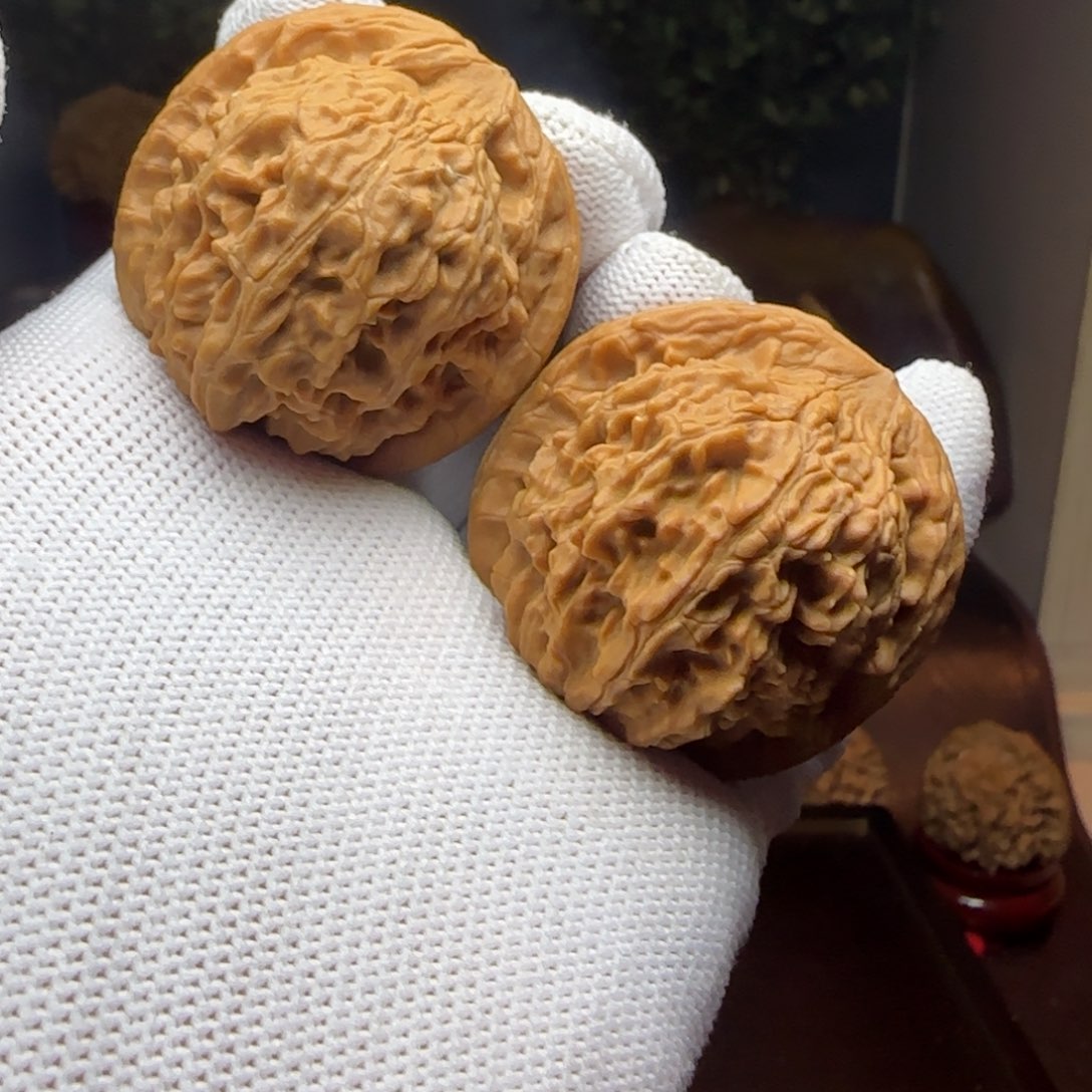 把件文玩核桃红狮子