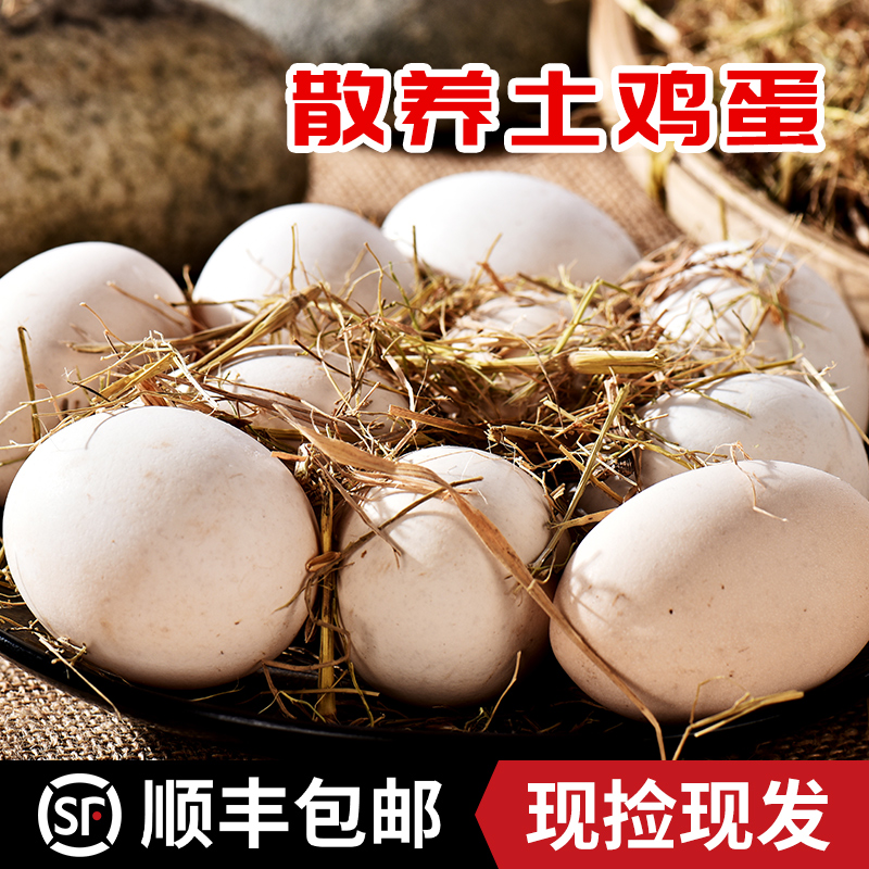 农村散养麻羽绿壳粉壳土鸡新鲜健康足龄土鸡蛋