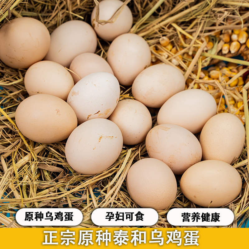 泰和原种乌鸡蛋 五谷散养 宝宝爱吃不卡喉 宝妈必备 精美包装