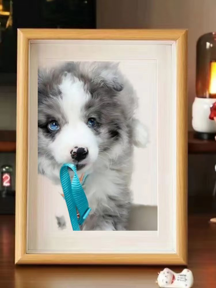 宠物纪念相册木质相框