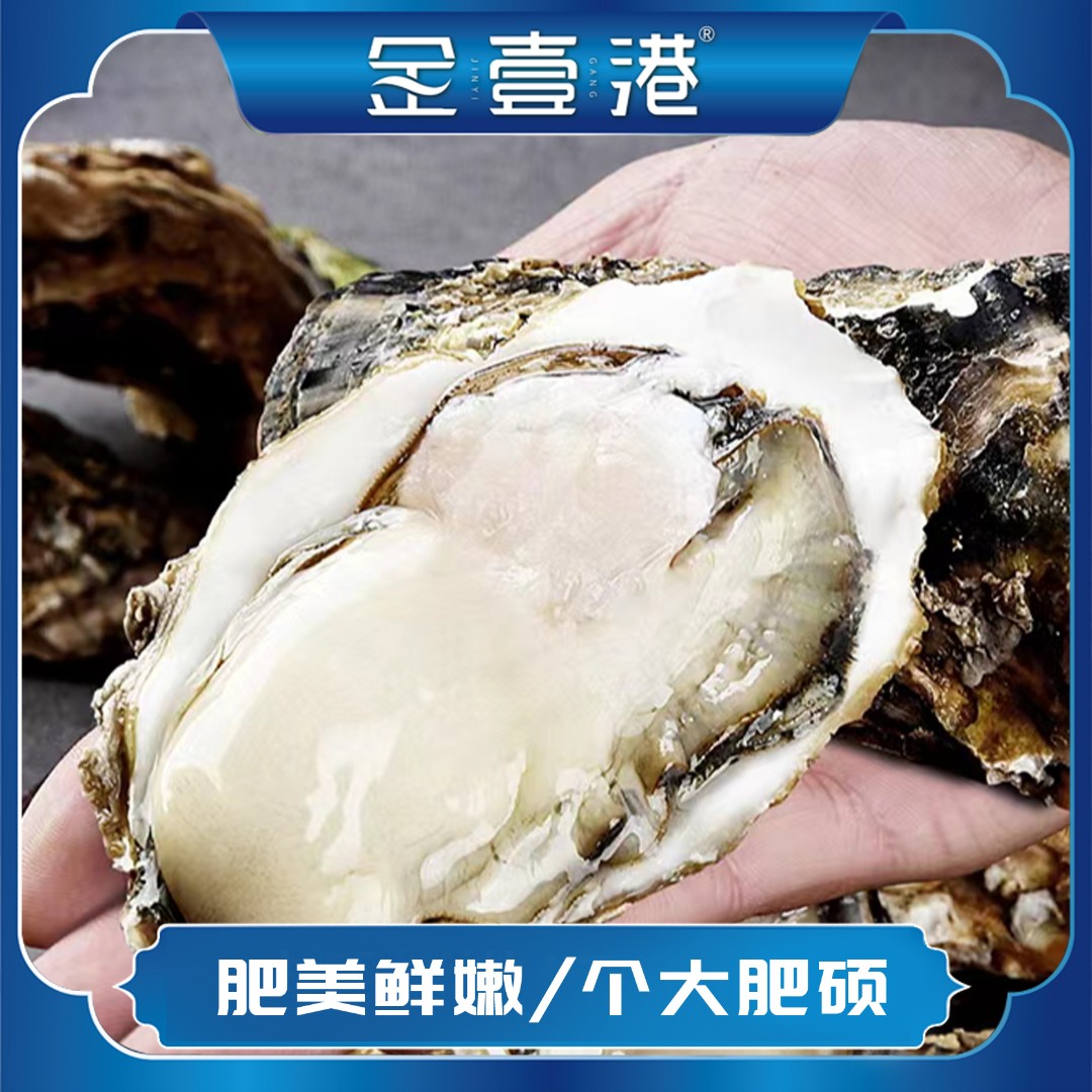 金壹港超大三倍体生蚝（4＋/个） 5斤