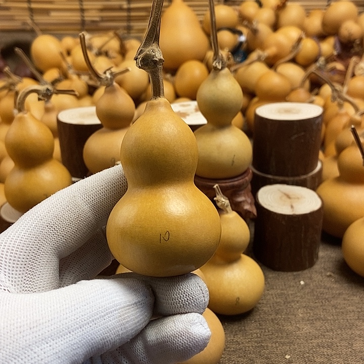 文玩葫芦 完美主义者 慎拍10