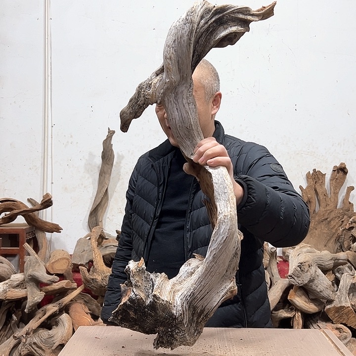 柏木本**活我们都是好孩子呀我也是想要