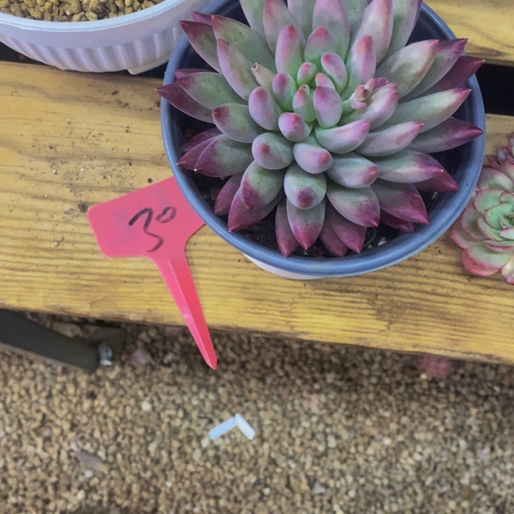 这么早还没有下班么